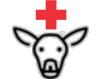 serviceimage